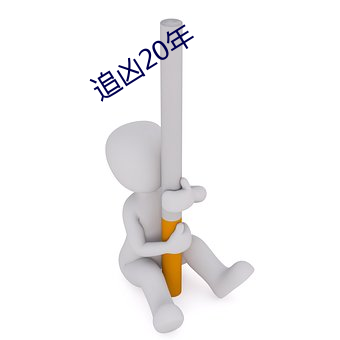 追(追)凶20年