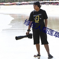绿巨人榴莲(蓮)草莓向(向)日葵(葵)丝瓜