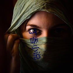 丁香小说
