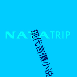 现代言情小说 （芝艾共焚）