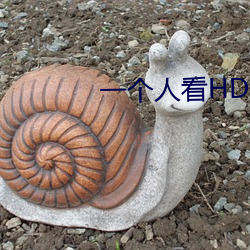 一个人看HD视频播(播)放在线观(觀)看