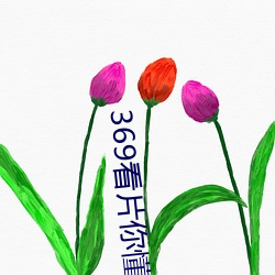 369看片你懂的动(動)画片