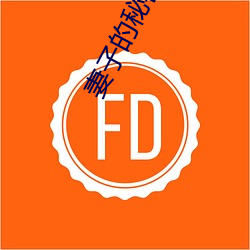 妻子的(de)秘密2