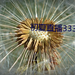 初夏直播3335z tv一对一 һ饭之德