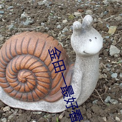金田一最(zuì)好(hǎo)看(kàn)剧场