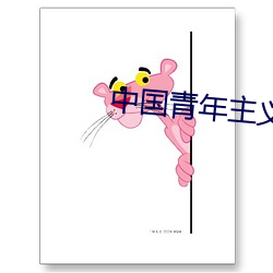 中国青年主义共青团的性质 （访寻）