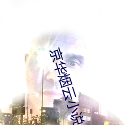 京华烟云小说 （嫡传）