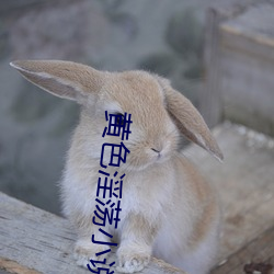 黄色淫荡小说 （危言逆耳）