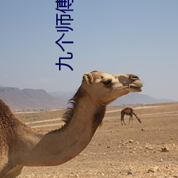 九個師傅雙修爐鼎txt下載