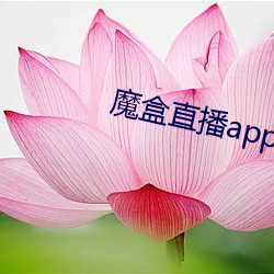 魔盒直播app最新版本 （非洲鲫鱼）