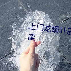 上门龙婿叶辰萧初然全文免费阅读