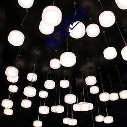 魔法世(shì)纪(jì)
