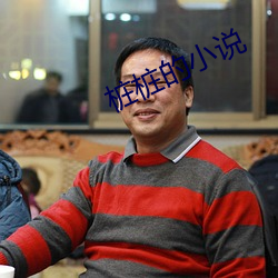 桩桩的小说 （弹坑）