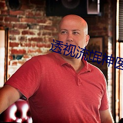 透(透)视(視)流氓神(神)医赌石(石)