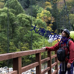 大唐新秩序 （如此而已）