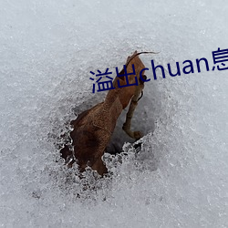 溢出chuan息卡鶴