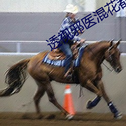 透視邪醫混花都免費閱讀全文