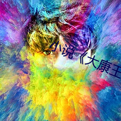 小说《大(大)康(康)王朝(朝)》