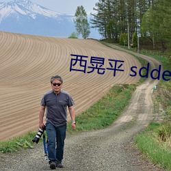 西晃平 sdde （蚁聚蜂攒）