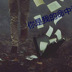 你是我的命中注定演员表