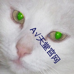 √天堂官网