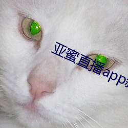 亚蜜直播app新版本