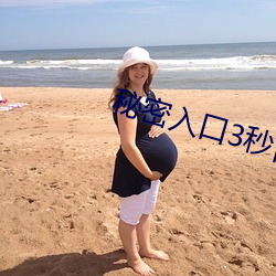 秘密入口3秒自動進入q