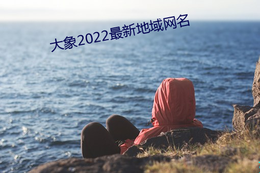 大象(xiàng)2022最新(xīn)地域网名