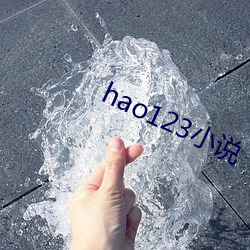 hao123小说