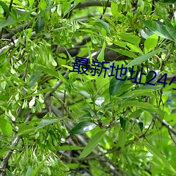 最新地址24小(小)时