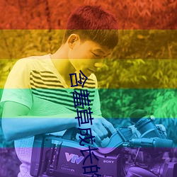 含羞草成长的视频