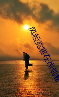 风(fēng)起霓裳在线观看