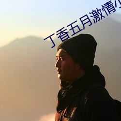 丁香五月激情小說
