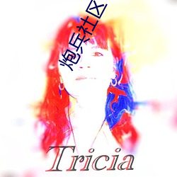 炮(炮)兵社(社)区(區)