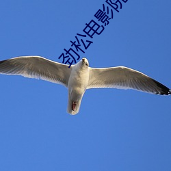 金年会 | 诚信至上金字招牌