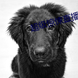 超級驚悚直播