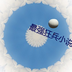 最强(qiáng)狂兵小说(shuō)