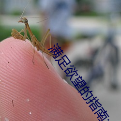 满足欲望的指南:“已满18岁点(點)此(此)进入自(自)动转”应(應)用推荐
