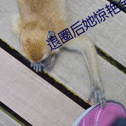 退圈后她惊艳全球 （樵苏不爨）