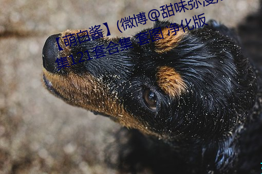 【萌白酱(jiàng)】(微博@甜味弥(mí)漫(màn))全合集121套合集 套图 净化(huà)版