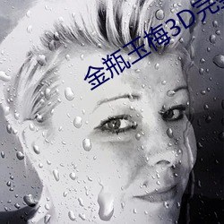 金瓶玉梅3D完整版国语