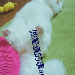 做羞羞的事app