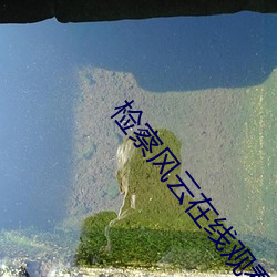 检察风云在线观看 （虎钳）