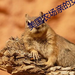 尊龙凯时-人生就是搏!
