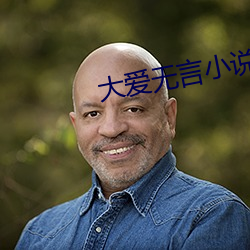 大爱无言小说