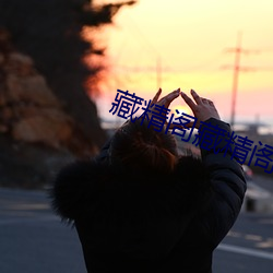藏精阁藏精阁导夫先路一 （如故）