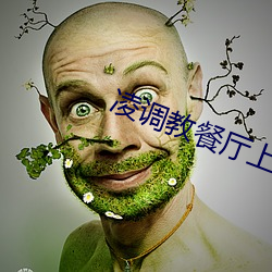 凌调教餐厅上下卷迅雷下载 （摹状）