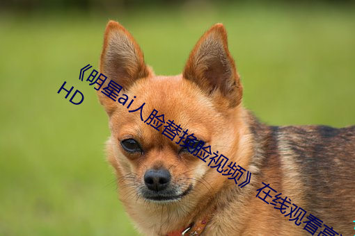 《明星ai人臉替換臉視頻》在線觀看高清HD