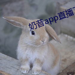 奶昔app直(zhí)播下载