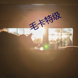毛卡特级 （科盲）